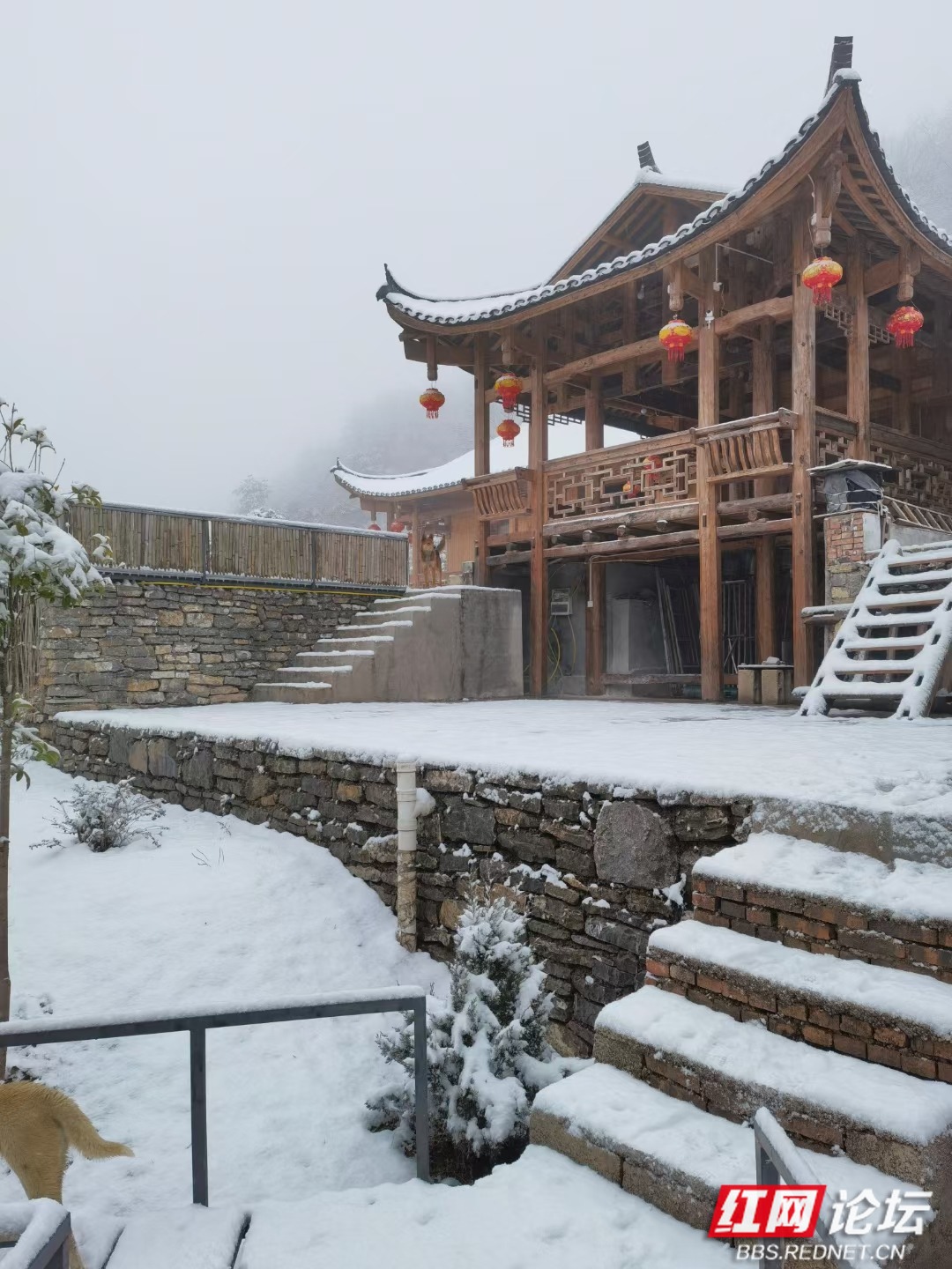 带你走进——云上西界!@办好旅发会 @一起向未来@桑植是个好地方!