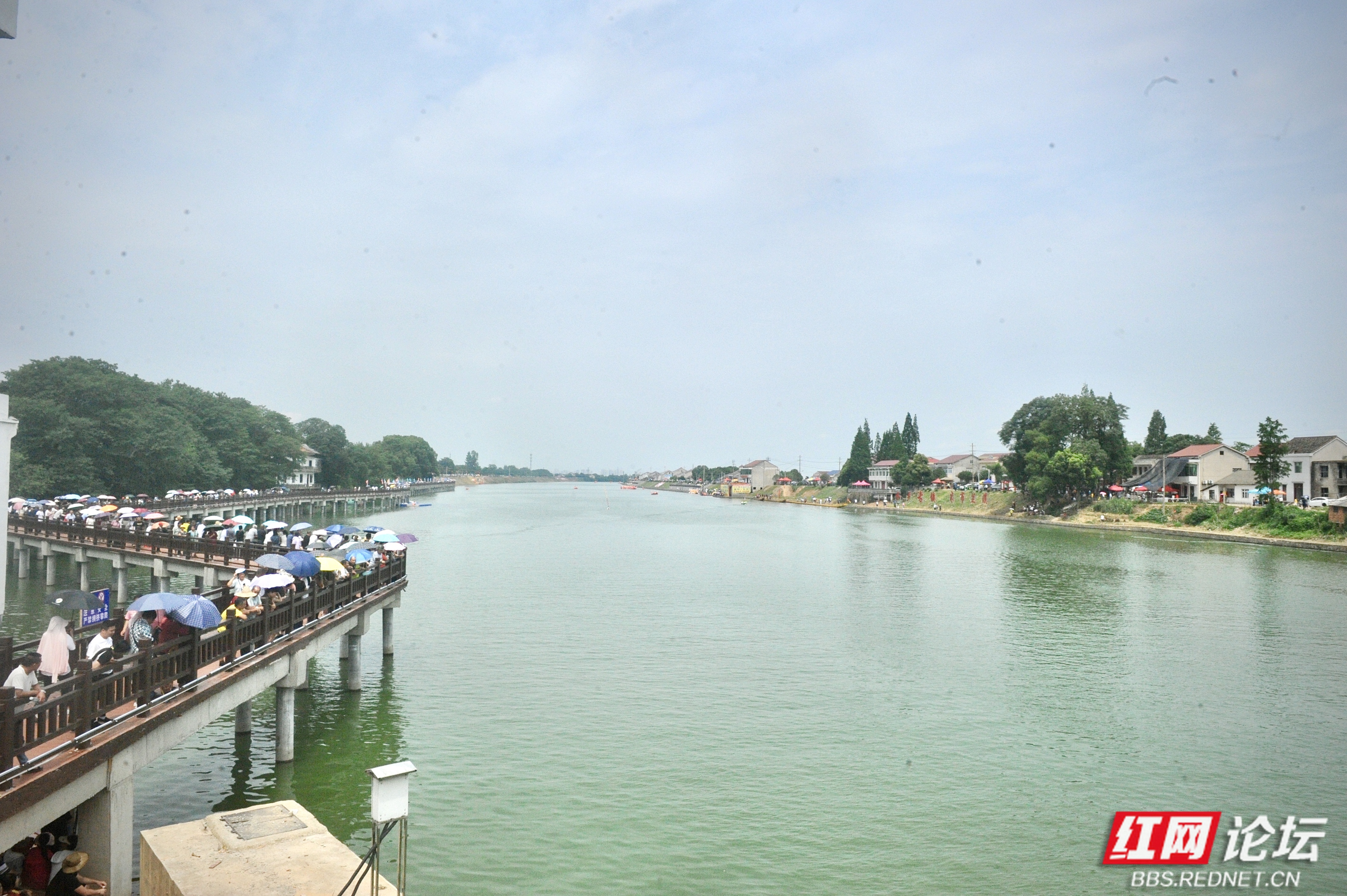 益阳故事:兰溪枫林桥有一个凄美的传说