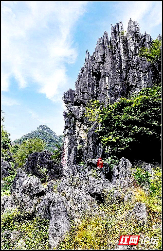 阳江春湾石林风景区图片