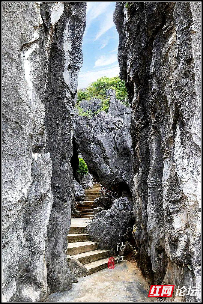 阳江春湾石林风景区图片