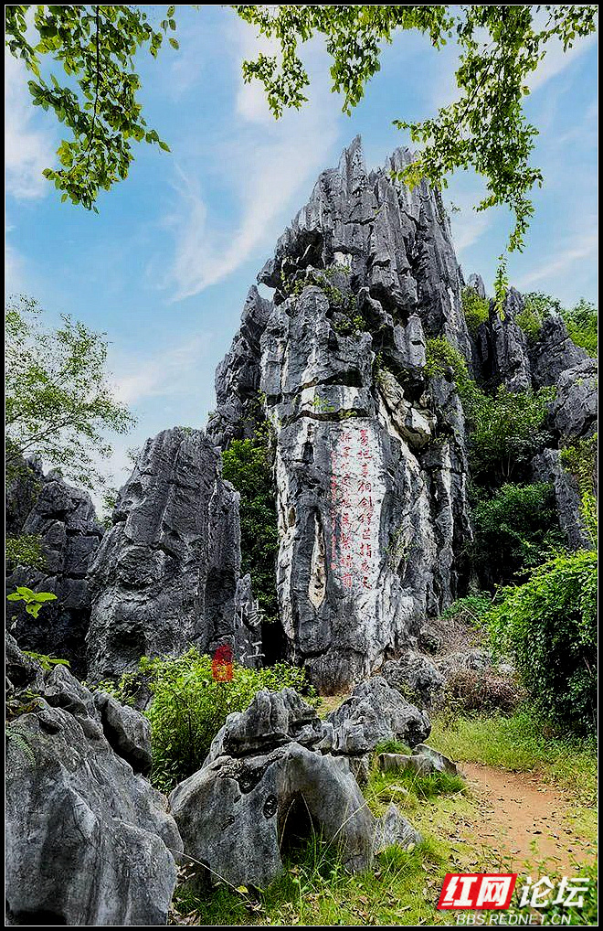 阳江春湾石林风景区图片