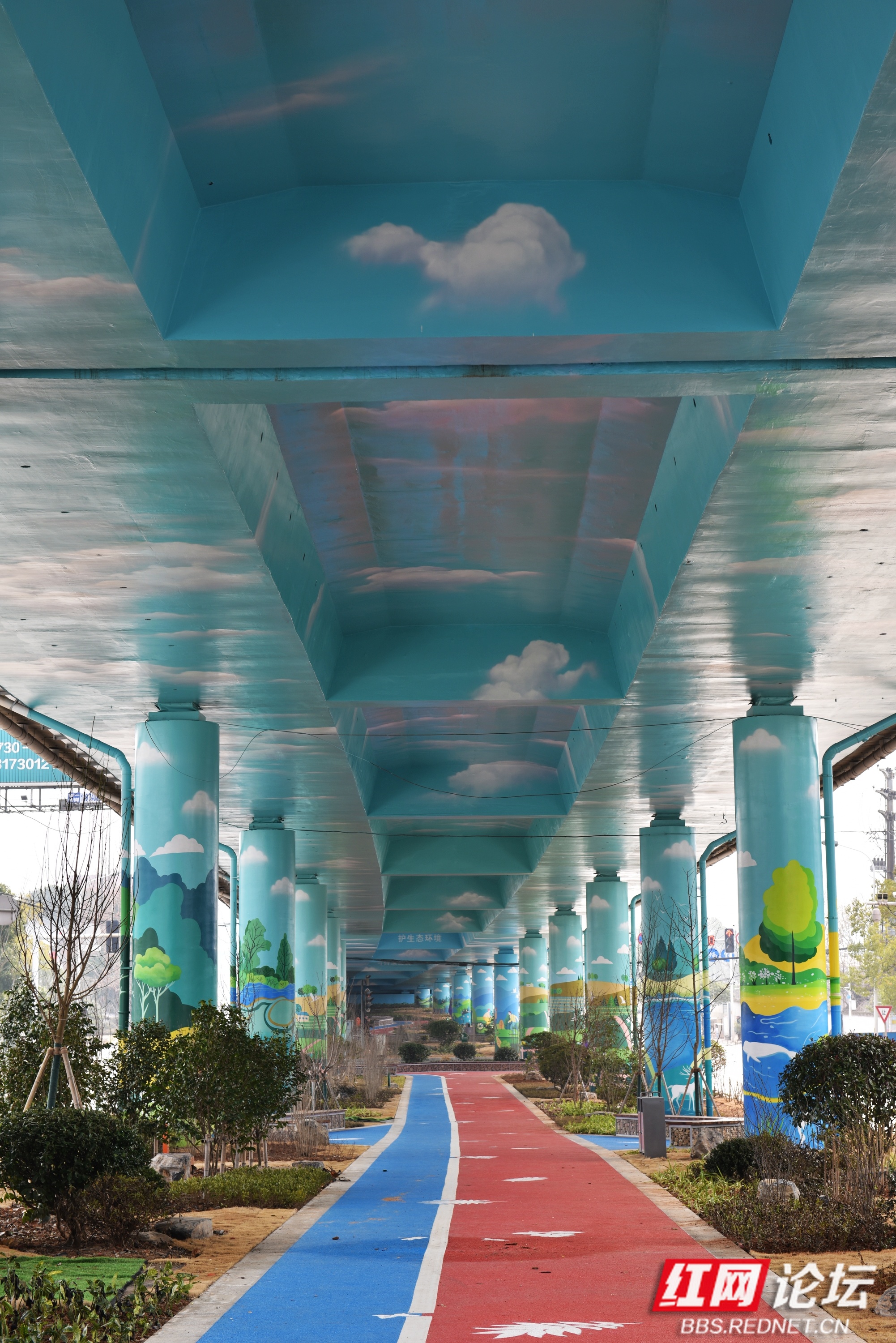 原创图秀彩绘洞庭湖大桥