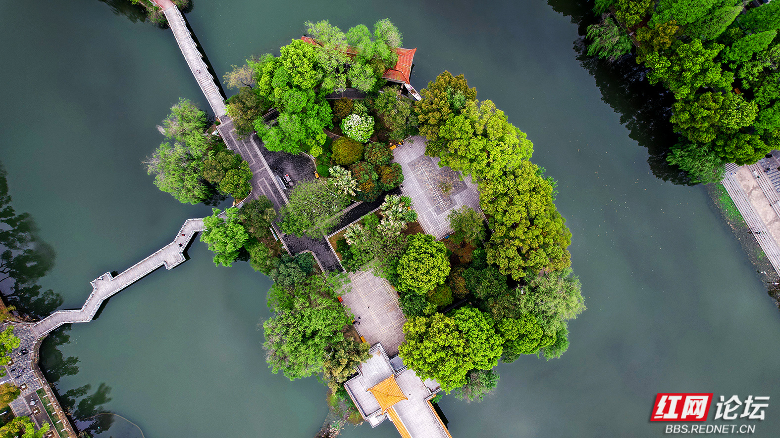 醉美踏春行│湖心岛的春色