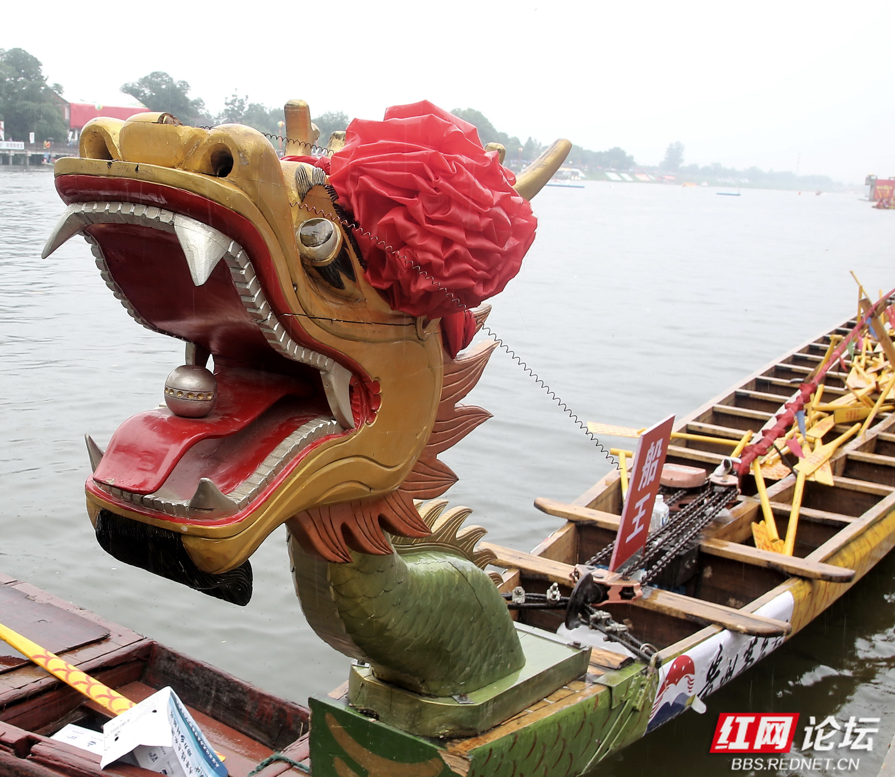 目前世界最长龙舟的龙头模样
