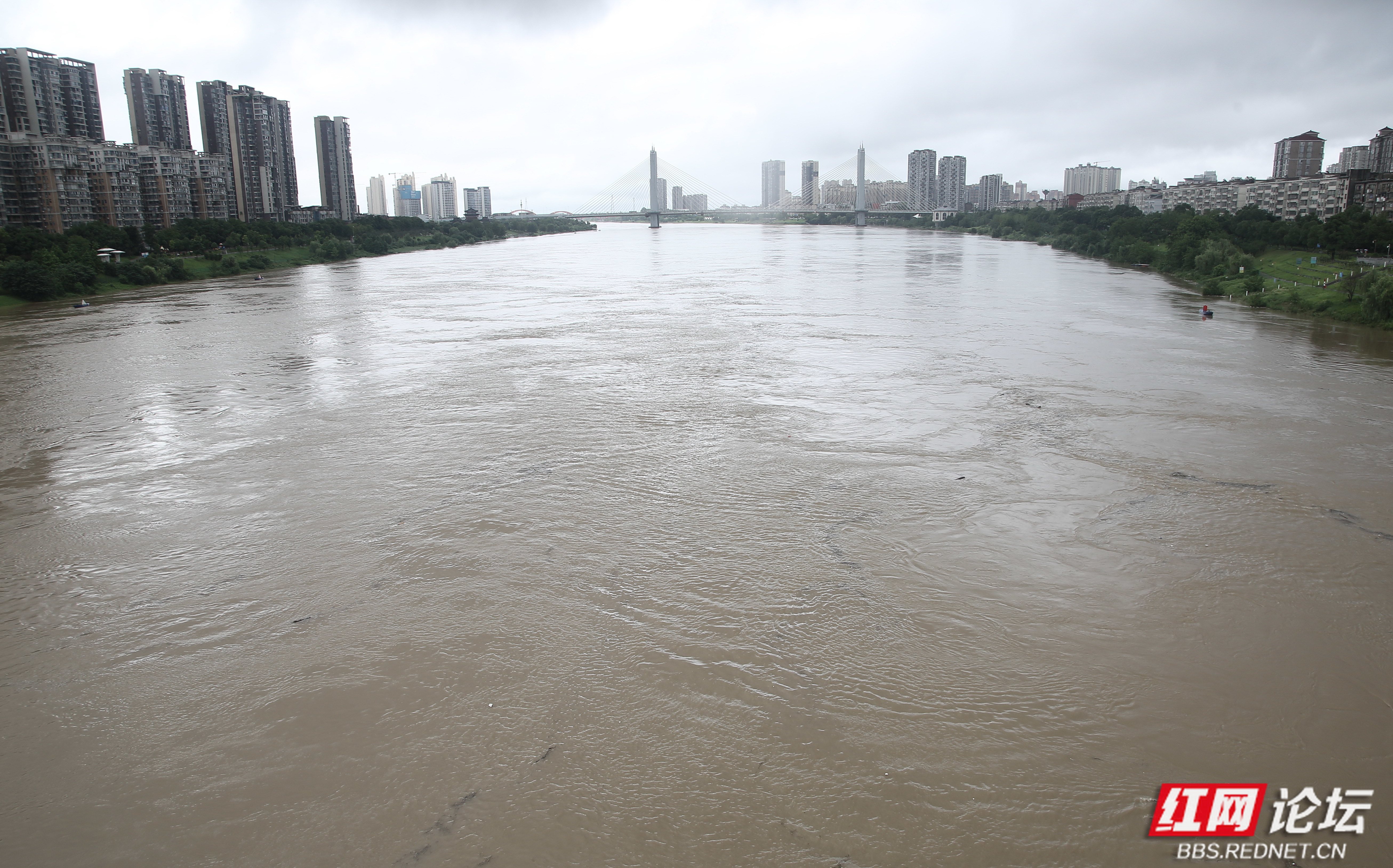今日益阳城区资江河段水势