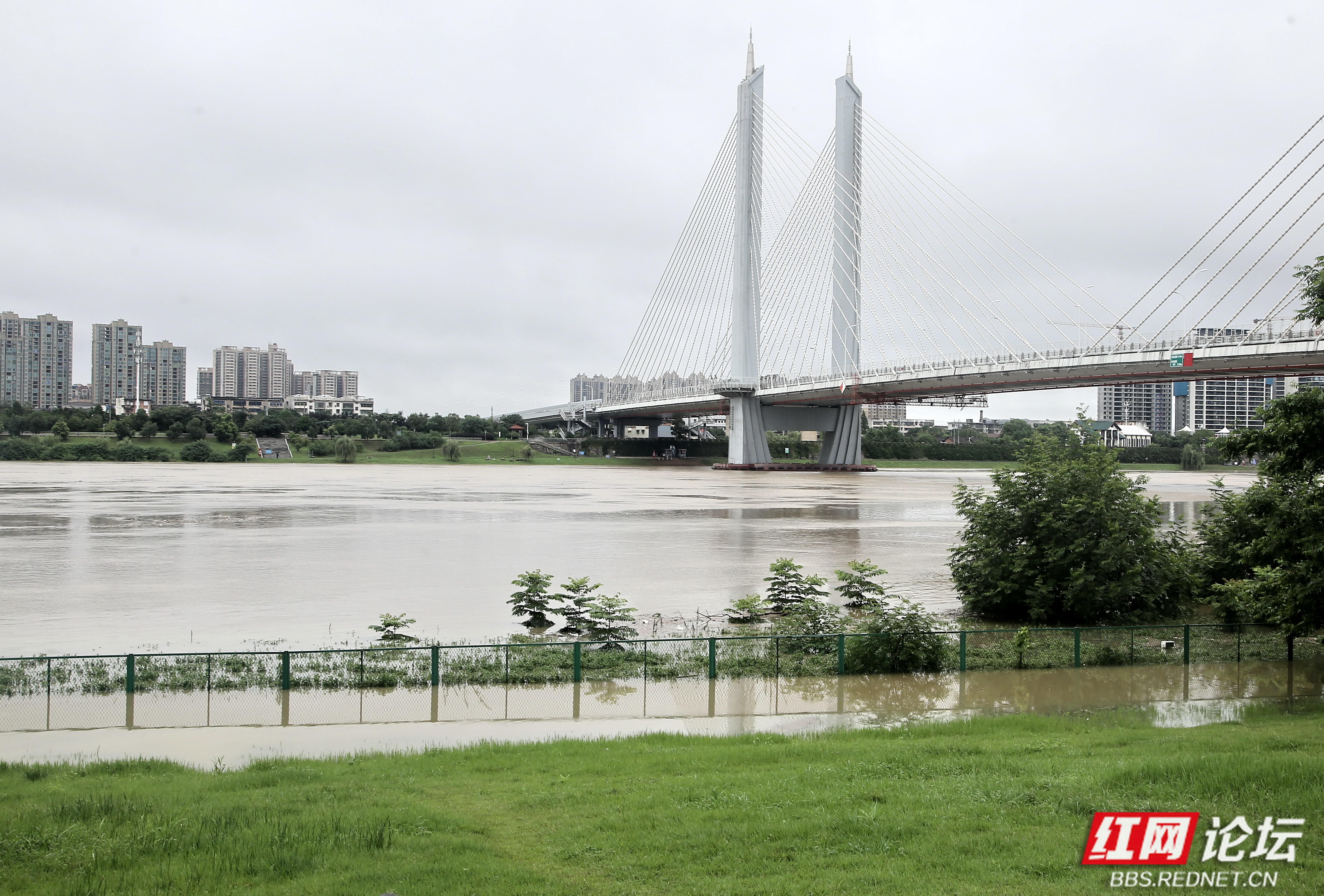 今日益阳城区资江河段水势