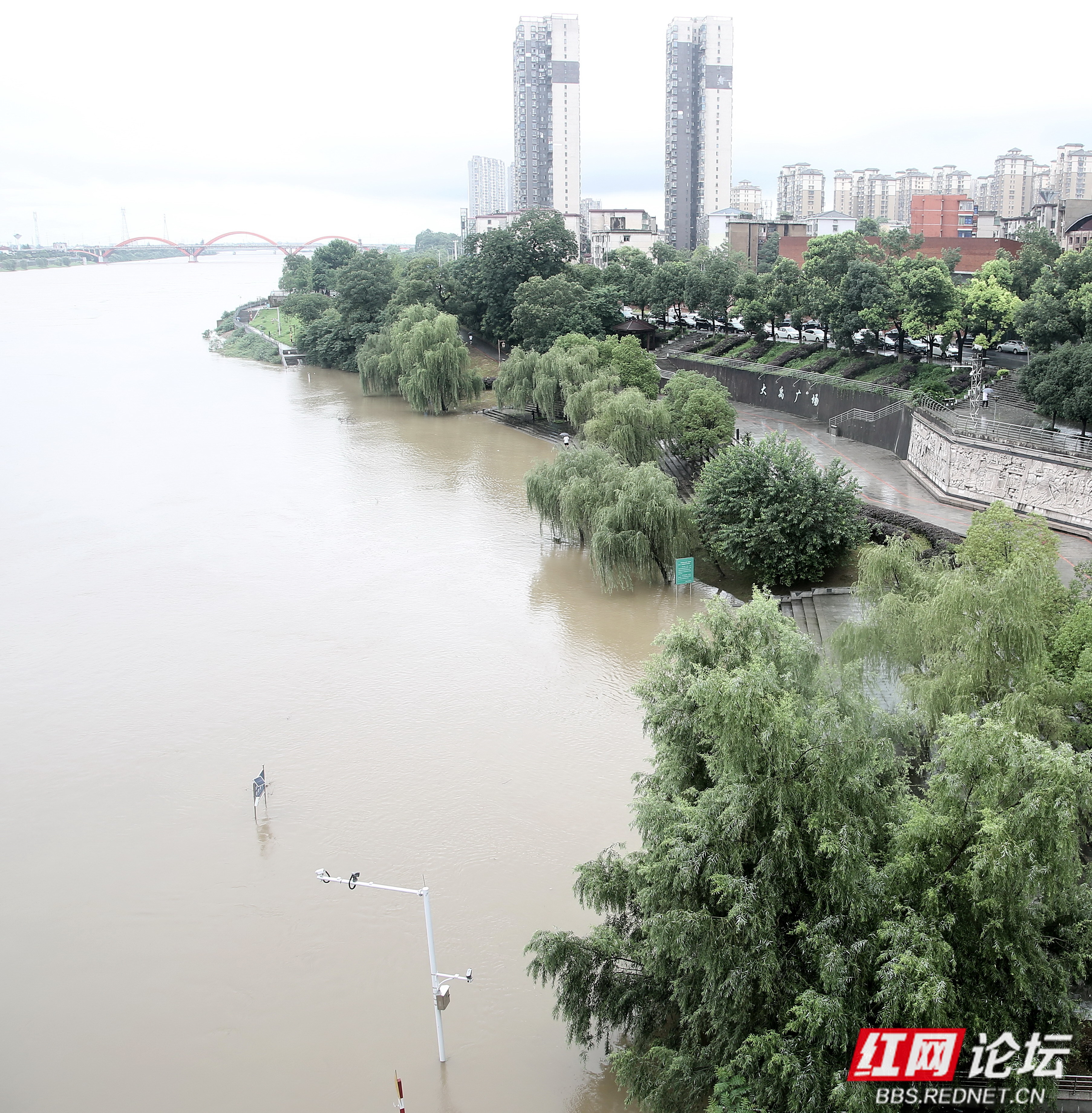 今日益阳城区资江河段水势