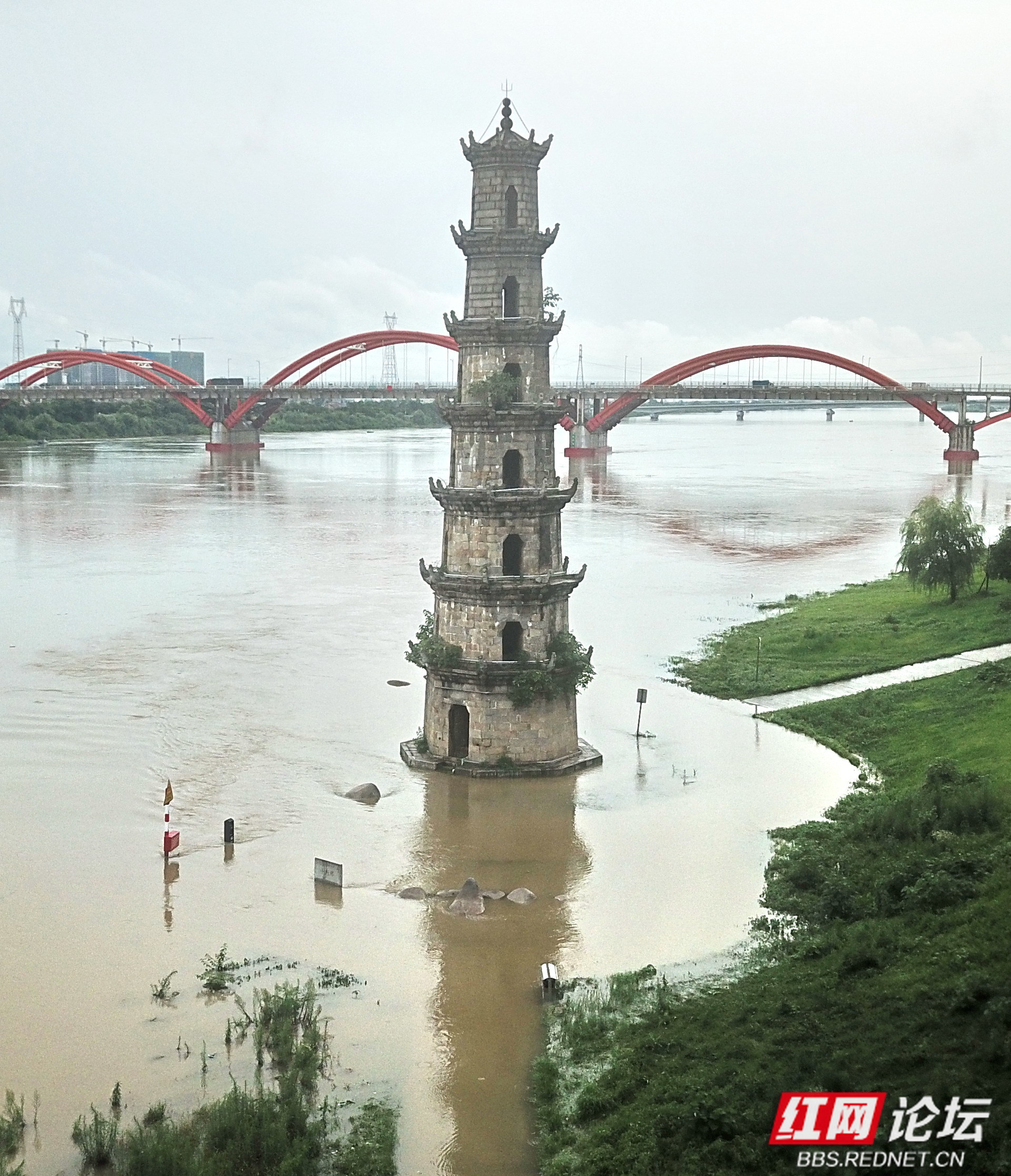 今日益阳城区资江水又涨高了