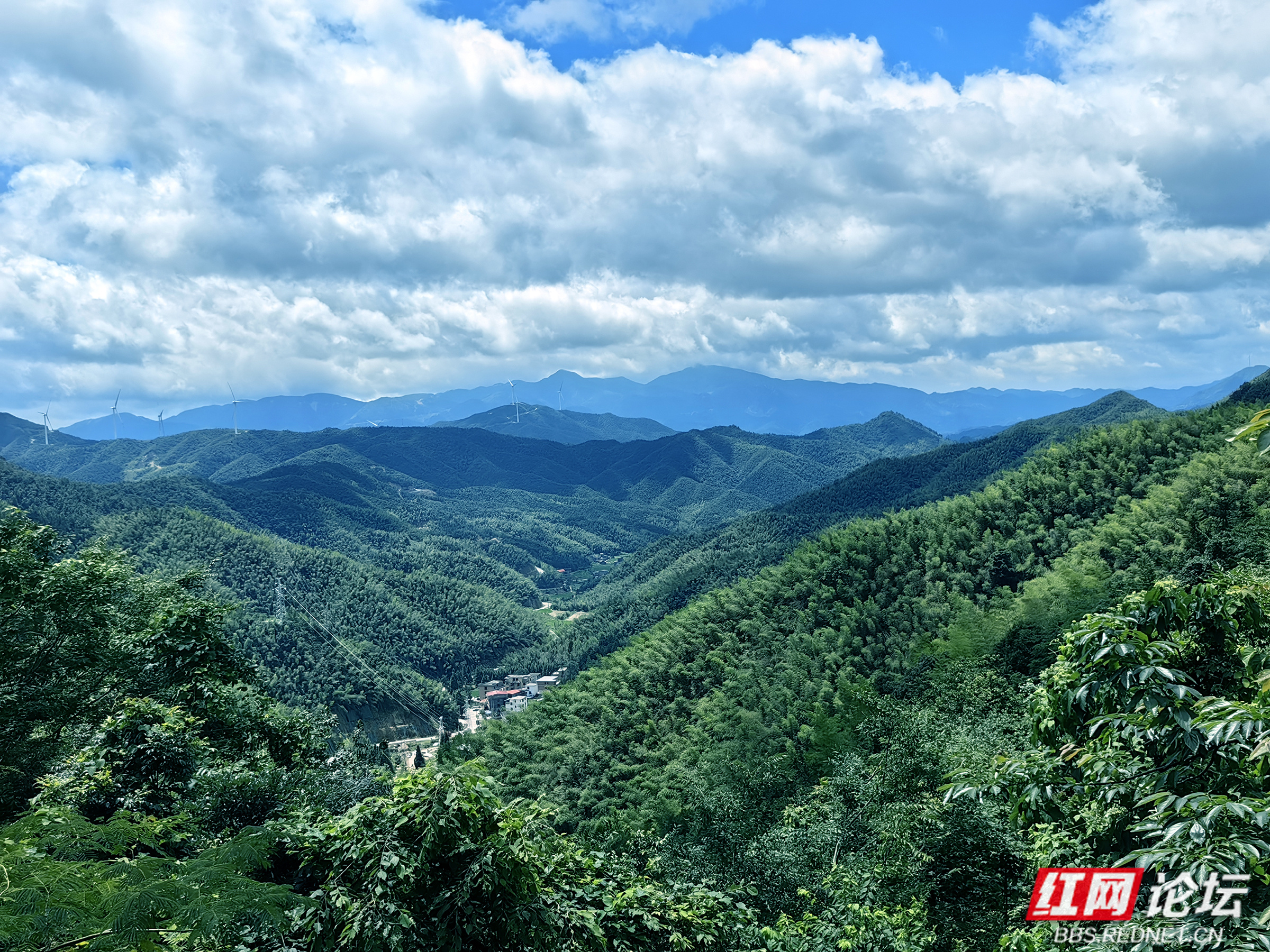 探寻千年鸟道:蓝山县的意外邂逅与生态之美