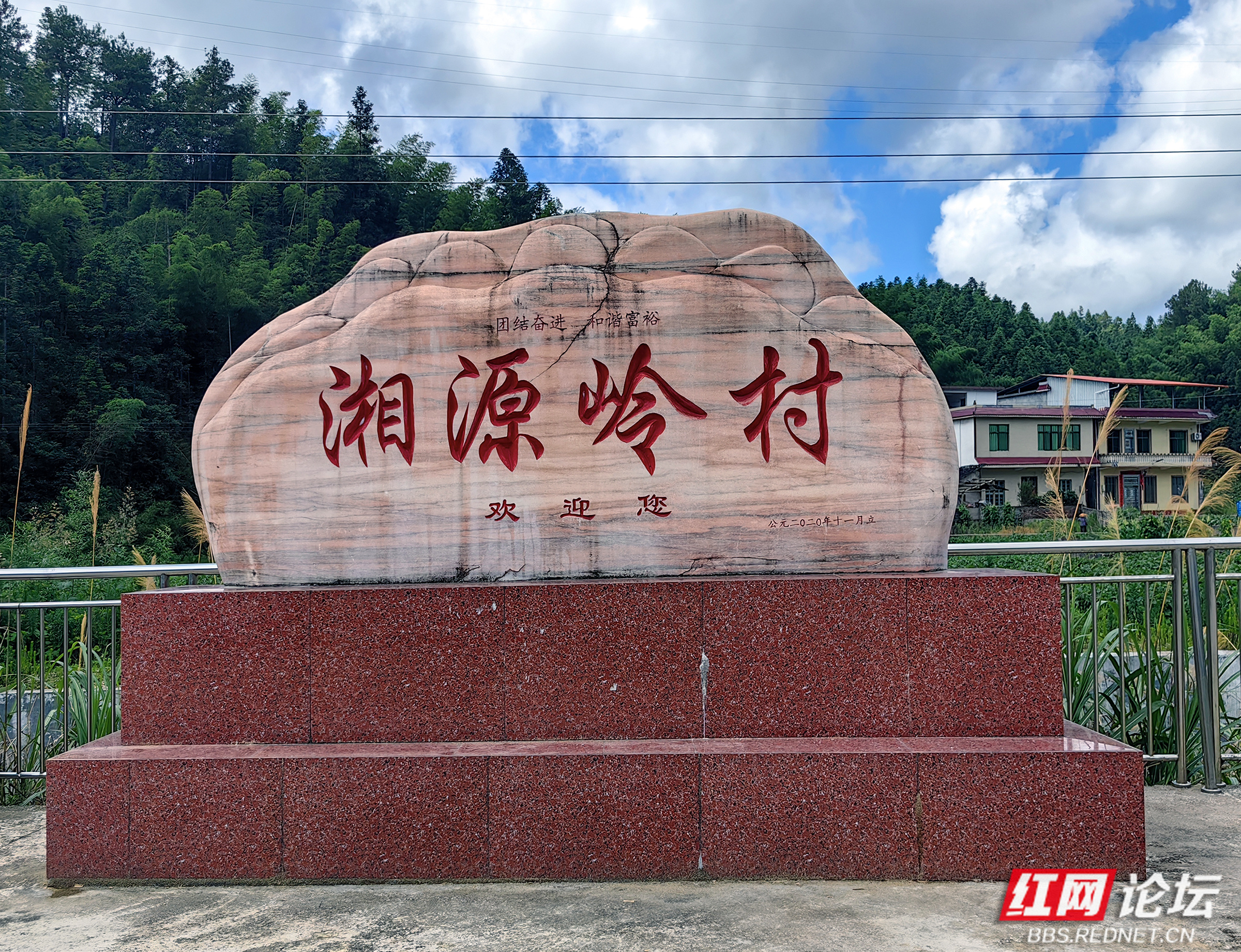 探寻千年鸟道:蓝山县的意外邂逅与生态之美