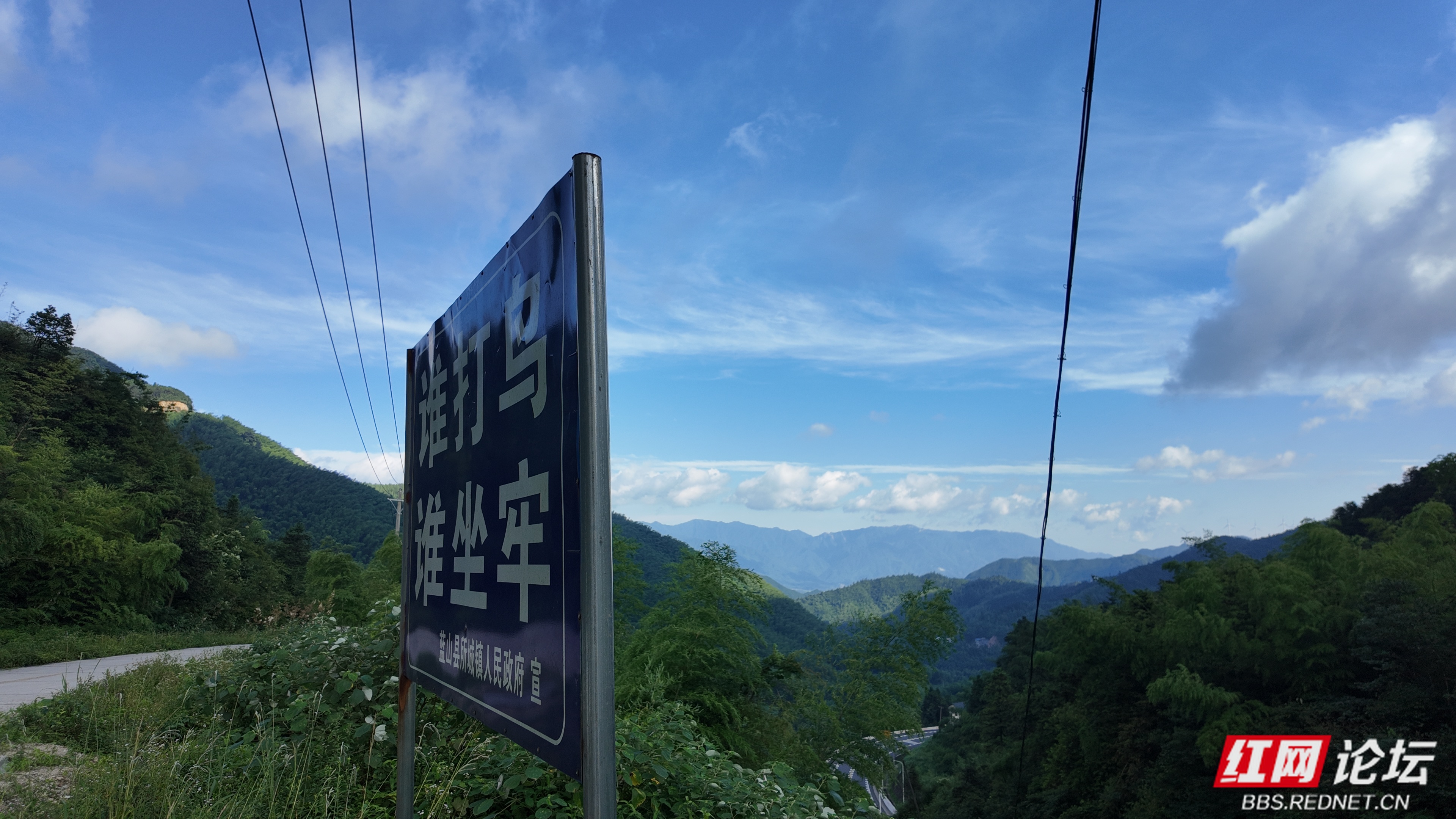 巡千年鸟道|蓝山政协与候鸟守护者共筑"千年鸟道"安全屏障