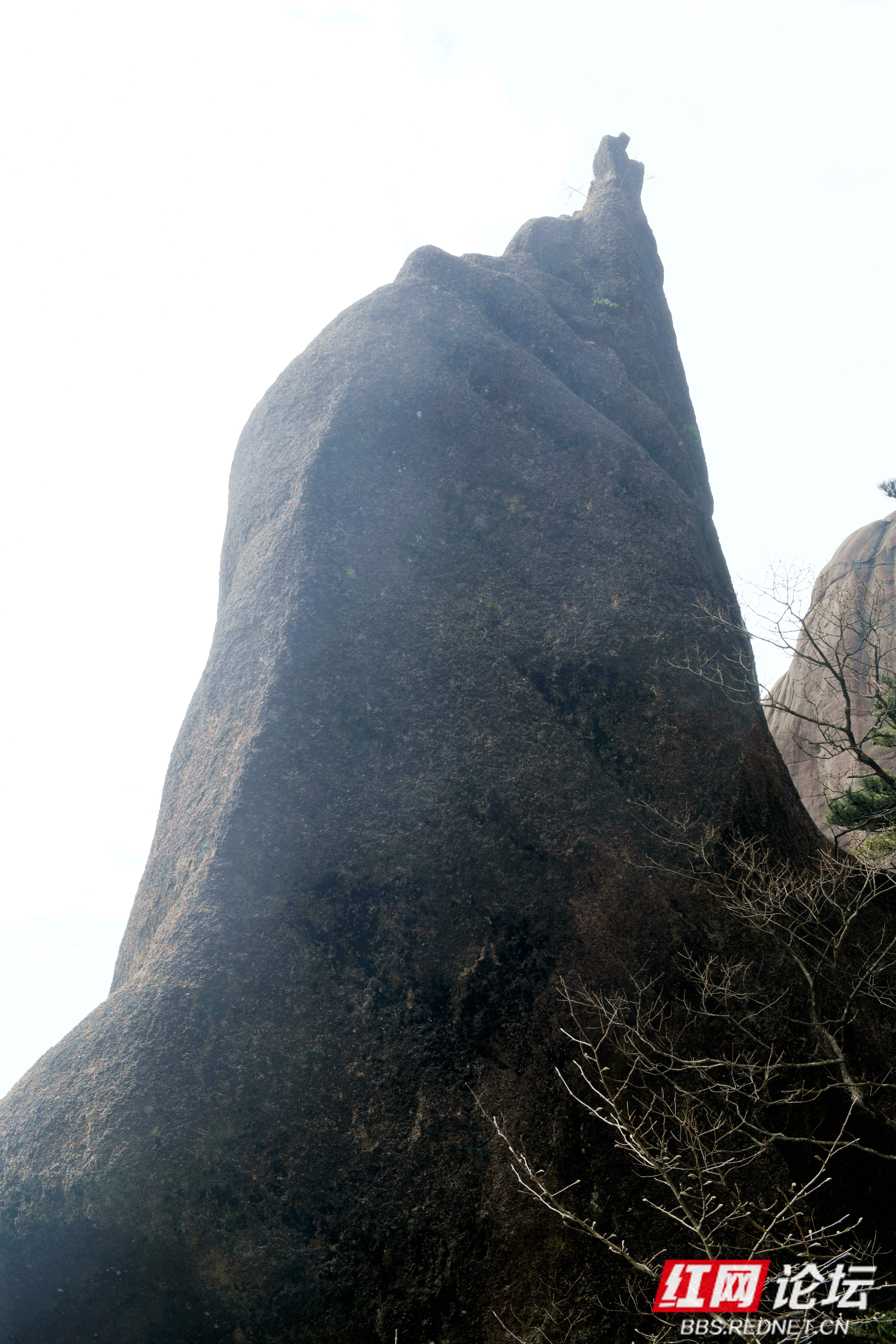 一幅幅天然山石画卷的黄山"三绝"之一怪石