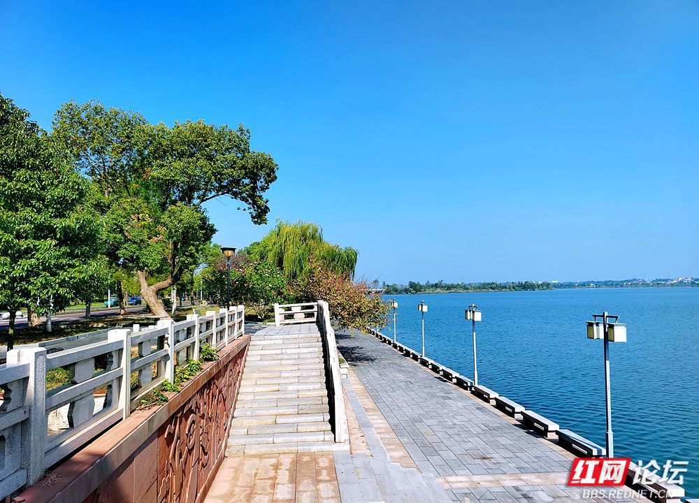 2024常德柳叶湖马拉松赛沿途风景如画秋光养眼