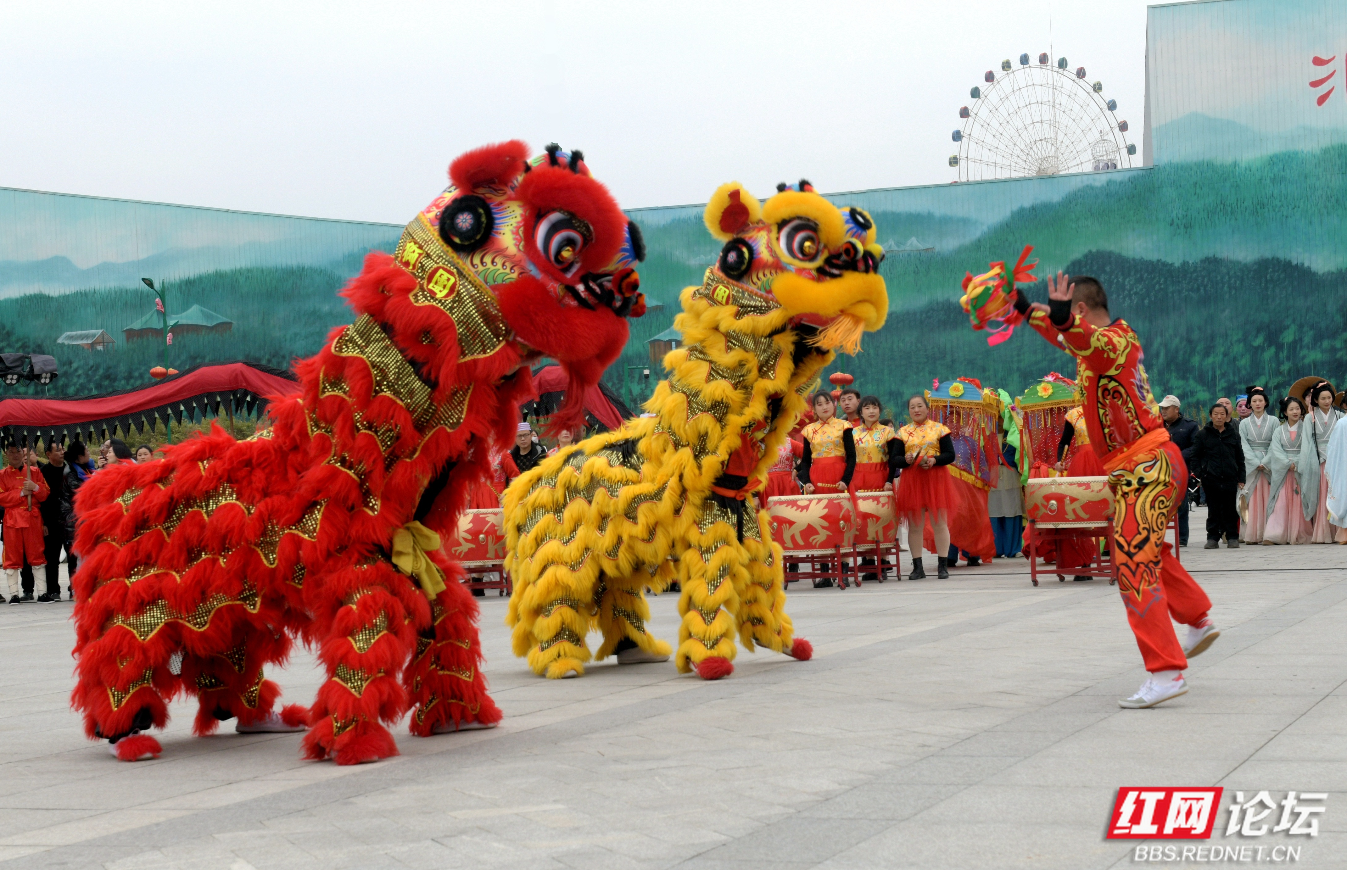 分享〗元宵佳节民间都要以舞狮子来助兴